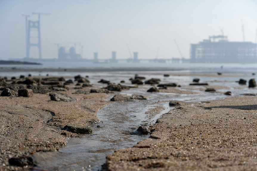 industry growth and expansion