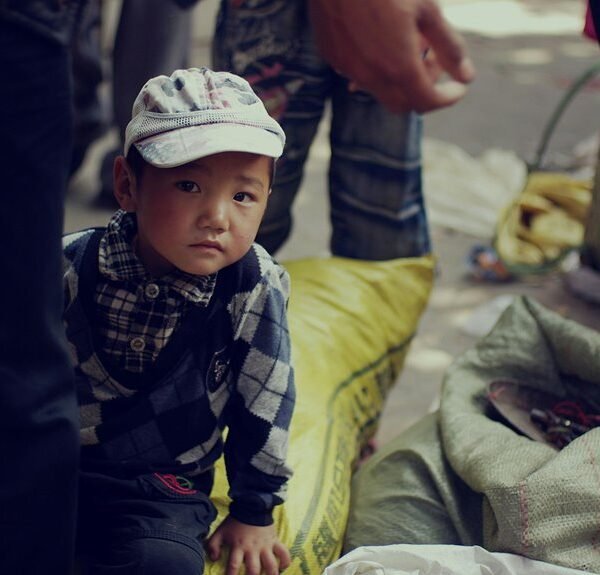 Market Shift Observation Log: 7402174149, 602698090, 2117258, 4184250201,&hellip;